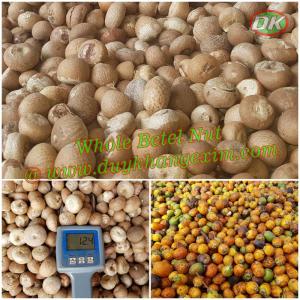 Wholesale whole betel nut: Whole White Betel Nut @Premium Quality At Best Price DK EXIM (Whatsapp +84 769 026 486)