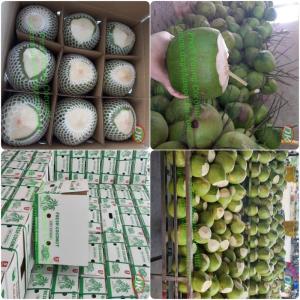 Wholesale fruit container: Coconut From Ben Tre VN @Sweet @Cheap (Whatsapp +84 769 026 486)