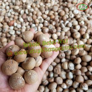 Wholesale inspection: Slice Betel Nut/ Whole White & Boiled Young DRIED ARECA NUTS From Vietnam