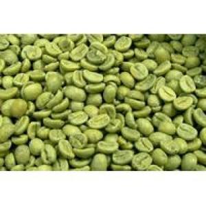 Wholesale green coffee: Green Coffee Beans Powder Extract