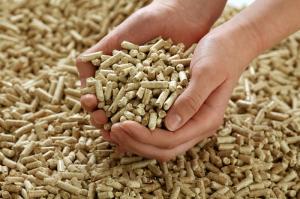 Wholesale pellets: Wood Pellets.