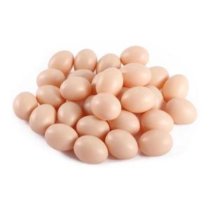 Wholesale food trays: Organic Non-GMO Table Eggs  High Protein, Healthy Choice