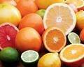 Wholesale fresh fruits: Fresh Citrus Fruits