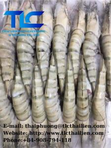 Wholesale black tiger shrimps: Black Tiger Shrimp ( Seafood)