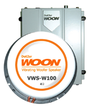 Vibrating Woofer Speaker System for Computer Game