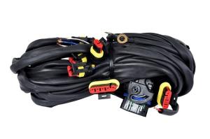 Wholesale automotive: CNG/LPG ECU Kit- Wiring Harness