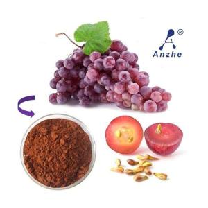Wholesale cas no.84929-27-1: Grape Seed Extract Wholesale Water Soluble Grape Seed Extract 95% Powder