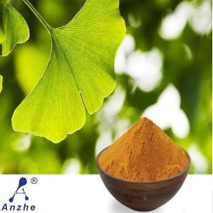 Wholesale Herb Medicine: Natural Ginkgo Leaf Extract Powder/Ginkgo Biloba Extract 24.0%Flavones 6.0%lactones