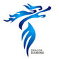 Guangzhou Dragon Diamond Technology Co., LTD Company Logo