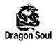 Dragon Soul Inc Company Logo