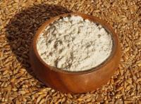 Sell Milled Whole Wheat Flour