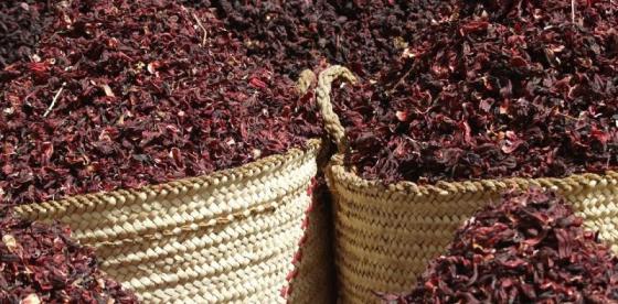 Sell High Quality dried Hibiscus