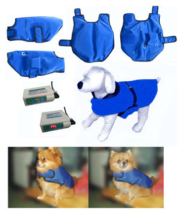 heated dog coat