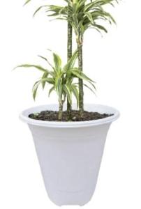 Wholesale basket: Tall Planter with  Floral Patterns
