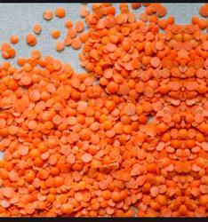Wholesale canned brown beans: Red Lentils for Sale Cheap Price