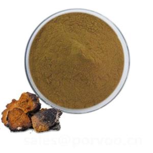 Wholesale down: Natural Siberian Chaga Mushroom Extract Powder,Chaga Mushroom Extract