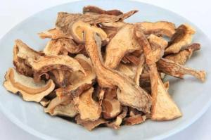Wholesale Dried Mushrooms: Dried Mossiness Mushroom