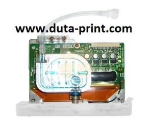 Wholesale ip: Seiko IP-4500 Print Head, Duta-print.Com