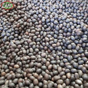 Wholesale egg cleaning machine: BLACK LOTUS SEEDS FROM VIETNAM. Mobile / Whatsapp No. +84906911567