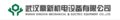 Wuhan Dingxin Mechanical & Electric Equipment Co., Ltd Company Logo