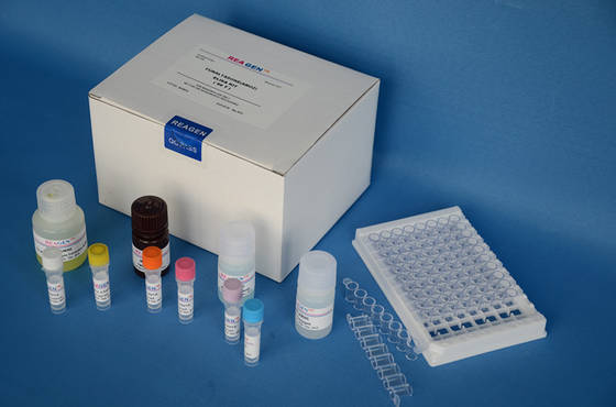 Rapid Bacterial Test Kit Salmonella Agglutinating Latex 30