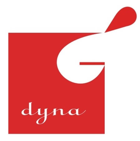 Dyna solution Co.,Ltd. Company Logo
