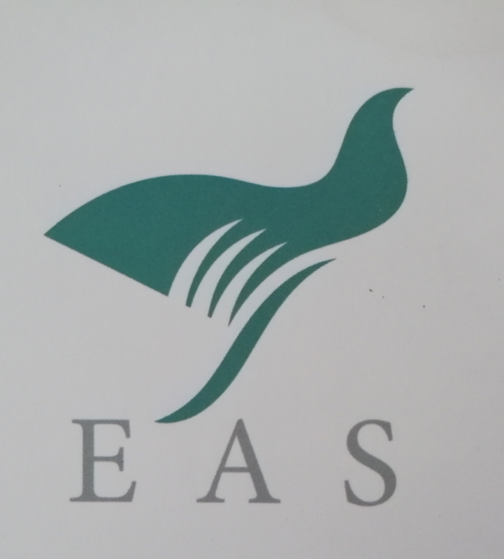 Eas Fiberglass Co.,Ltd