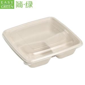 Wholesale sugarcane pulp: Disposable Compartment Containers