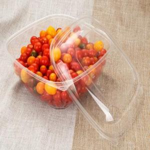 Wholesale fruit dish: Disposable Clear Bowl
