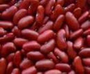 Wholesale red beans: Red and White Kidney Beans