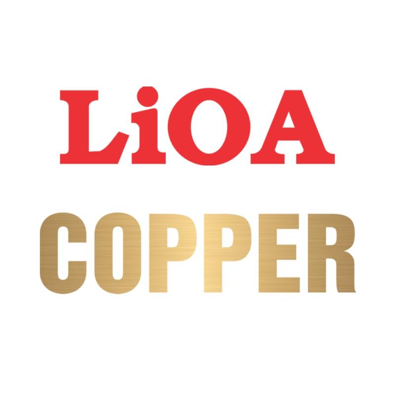 LiOA Electrical Equipment Joint Stock Company