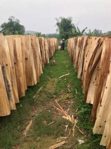 Wholesale vietnam plywood: Acacia Core Veneer