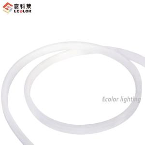 Wholesale water show: CSP LED Neon Silicone Tube Lights