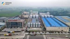 Wholesale oil seeds: 10-1000TPD Small Variety Oil Seeds Processing Production Line Highly Automation