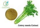 Professioanl Vegetable Extract Powder Celery Root Extract Brown Yellow Powder
