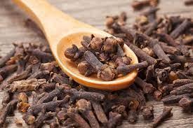 Wholesale carton: Wholesales High Quality Ground Clove Meat Cooking Spices Cloves Raw Clove for Powder