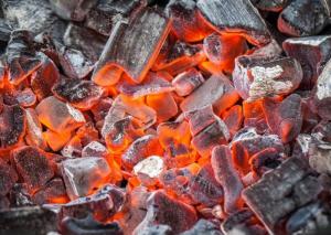 Wholesale bbq charcoal: PURE WHITE Oak Hard Wood Charcoal for Restaurants and Supermarket. BBQ