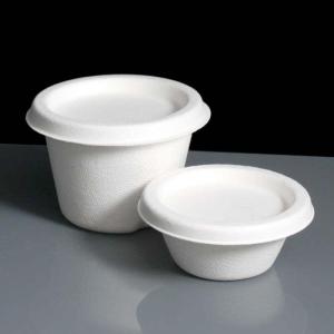 Wholesale g: Disposable Bowl with Lid