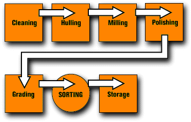 Processing Machine