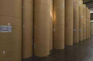 Wholesale double color printing film: High Quality PE Coated Paper