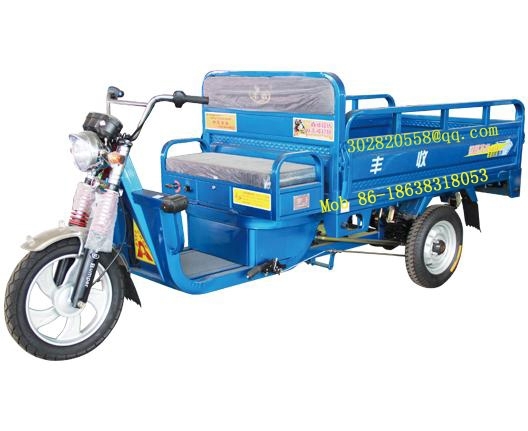 motorized cargo tricycle