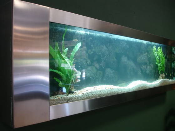 Aquabella Plasma Fishtank Aquarium Wall Mount Fish Tank id 