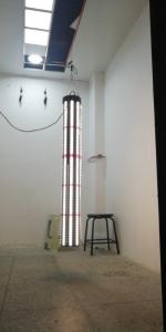 Wholesale grow light: 360degree Illuminance Full Luminescence 650W Greenhouse LED Grow Light