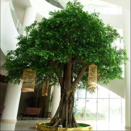 artificial ficus tree