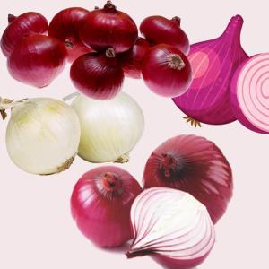 Wholesale exporter: Export Quality Onion