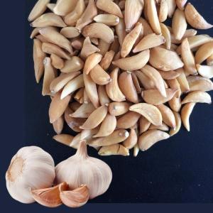 Wholesale sterilized: Dehydrated Garlic