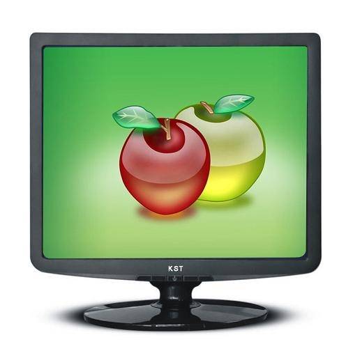 Computer Monitor