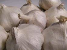Wholesale mesh: Normal White Garlic