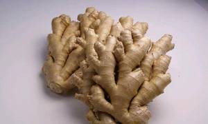 Wholesale ginger: Dried Split Ginger