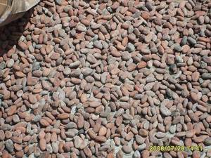 Wholesale Chocolate Ingredients: Cocoa Beans Seed